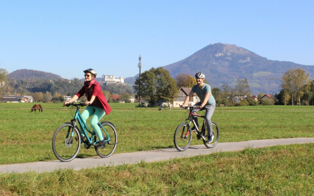 SaMBA – Sustainable Mobility Behaviours in the Alpine Region