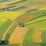 Pilot study for a future EU Observatory on Farmland