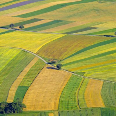 Analysis of CAP Strategic Plans and contribution to the achievement of EU objectives