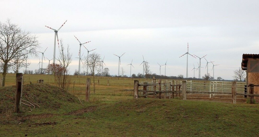 Windpark Andau-Halbturn – Adaptierung der bestehenden Windpark-Eignungszone
