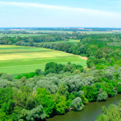 Leitfaden zu EU-Finanzierungsprogrammen im Bereich Umwelt