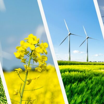 Akzeptanz und Partizipation bei der Einführung neuer Umwelttechnologien