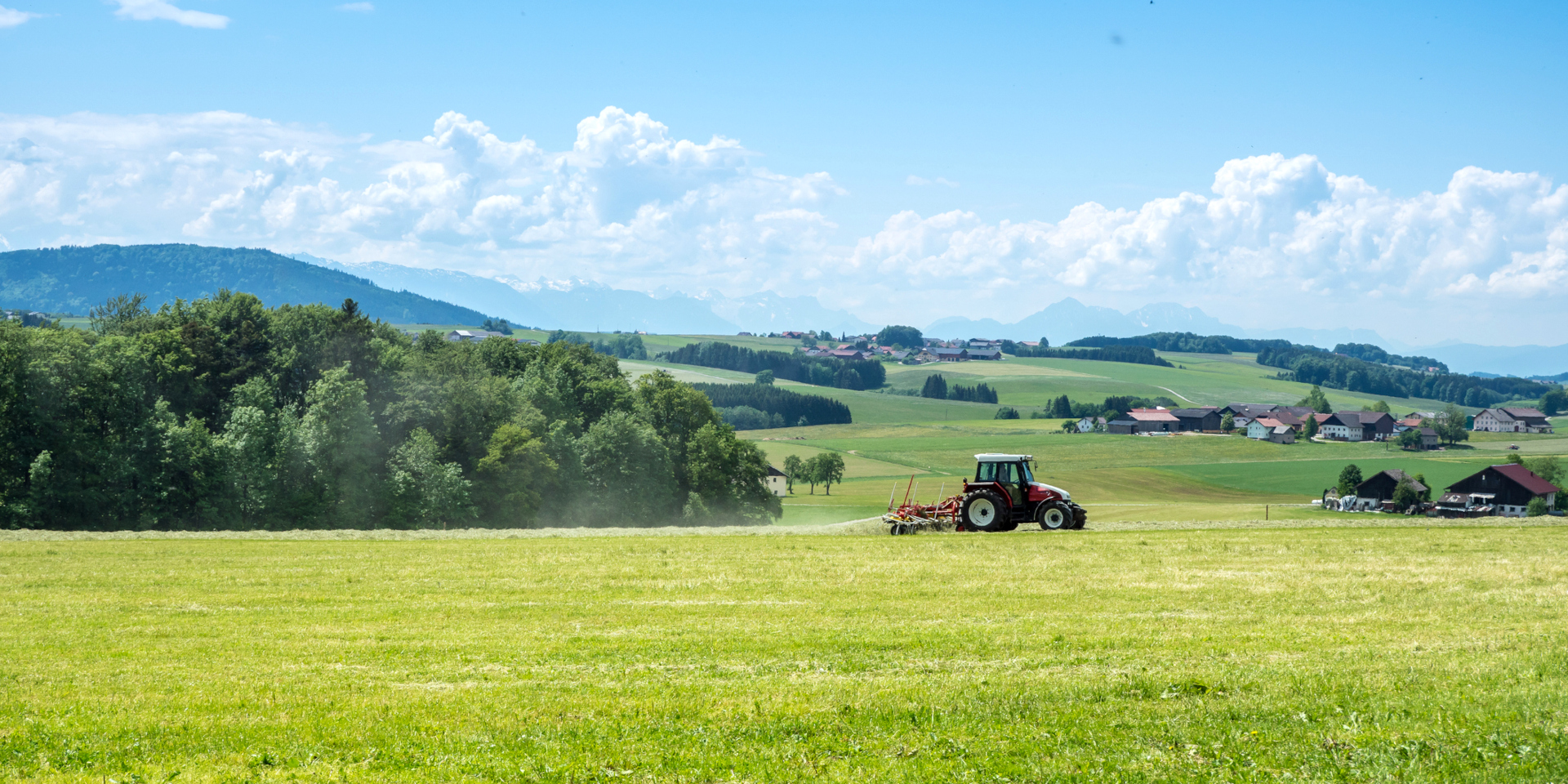 iStock.com/Animaflora
