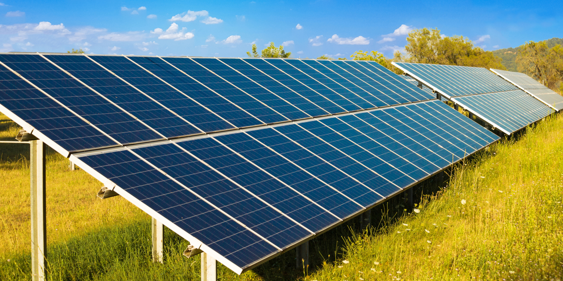 iStock.com/summerphotos