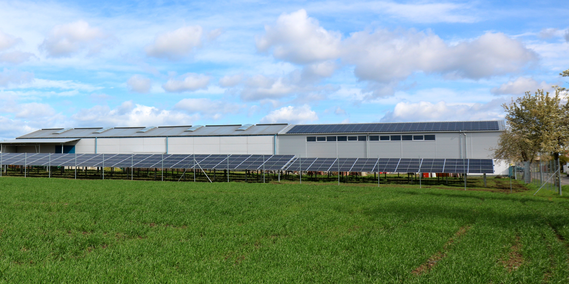 ÖIR GmbH