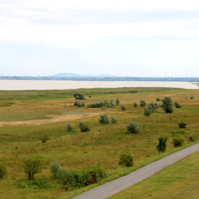 Fachliche Begleitung der Advisory Mission im UNESCO-Welterbe Neusiedler See