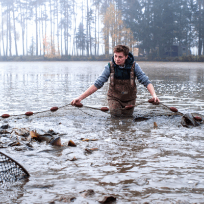 Evaluierung des österreichischen EMFAF-Programms ist abgeschlossen
