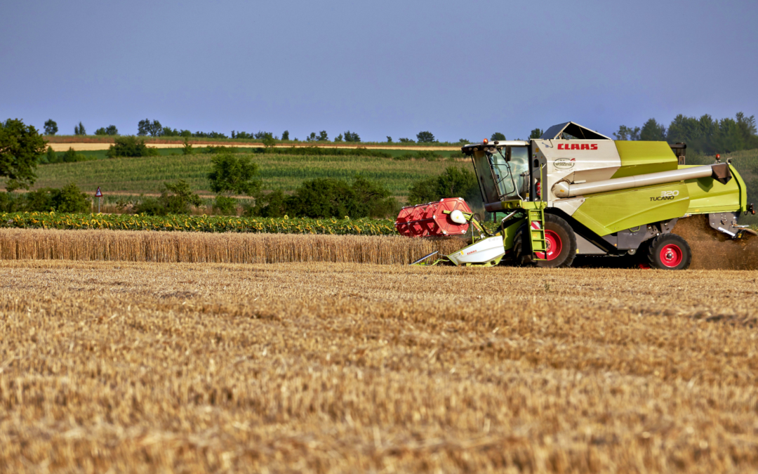 Generational change in agriculture: Analysis of businesses run by young farmers in EU countries