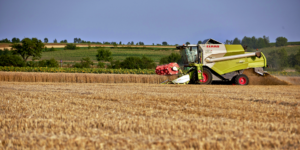 ÖIR-Studie zu Junglandwirt:innen im AGRI-Ausschuss des EU-Parlaments präsentiert