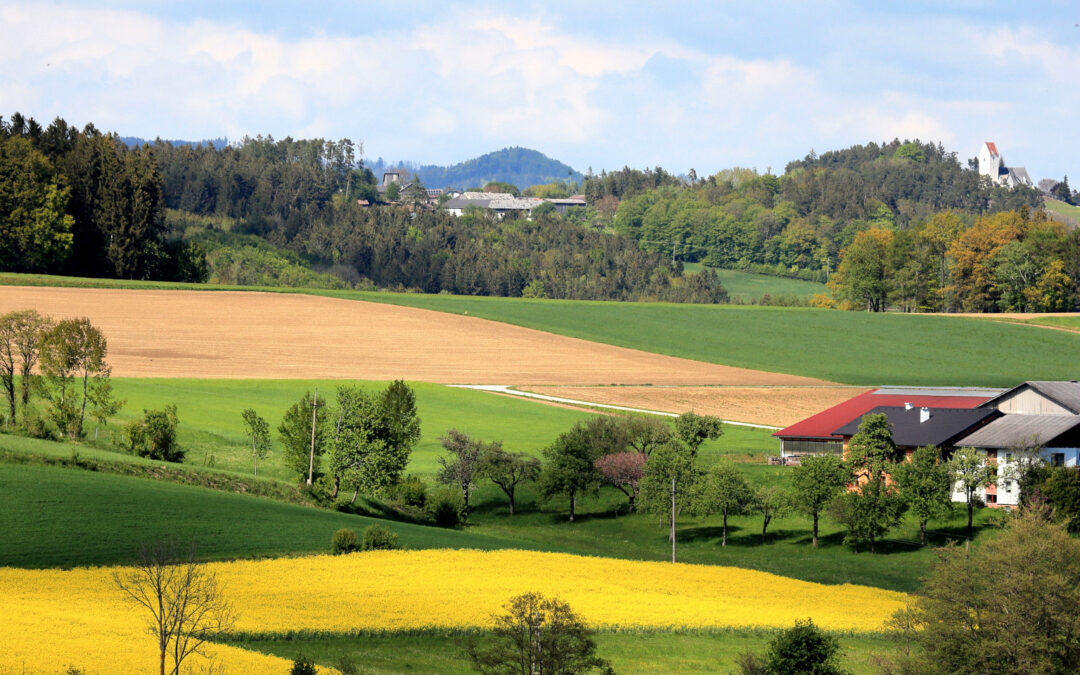 Rural Proofing – ein Rahmen zur Entwicklung resilienter ländlicher Regionen und Gemeinden