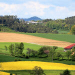 Rural Proofing – ein Rahmen zur Entwicklung resilienter ländlicher Regionen und Gemeinden