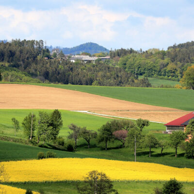 Rural Proofing – ein Rahmen zur Entwicklung resilienter ländlicher Regionen und Gemeinden