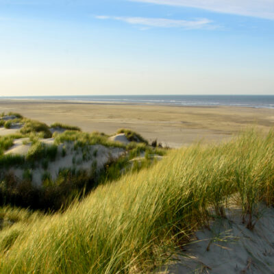 ÖIR supports the preparation of the Interreg North-West Europe Programme 2028–2034